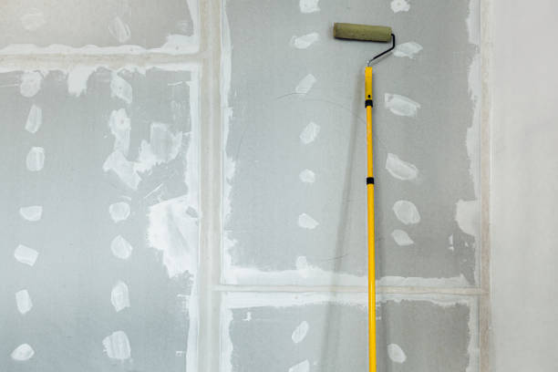 Best Crawl Space Mold Remediation  in Lewiston, ID
