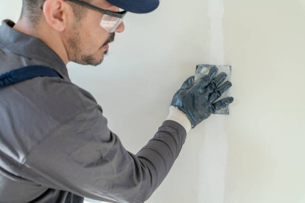 Lewiston, ID Mold Removal Company