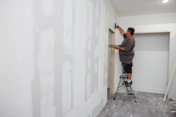 Best Basement Mold Removal  in Lewiston, ID