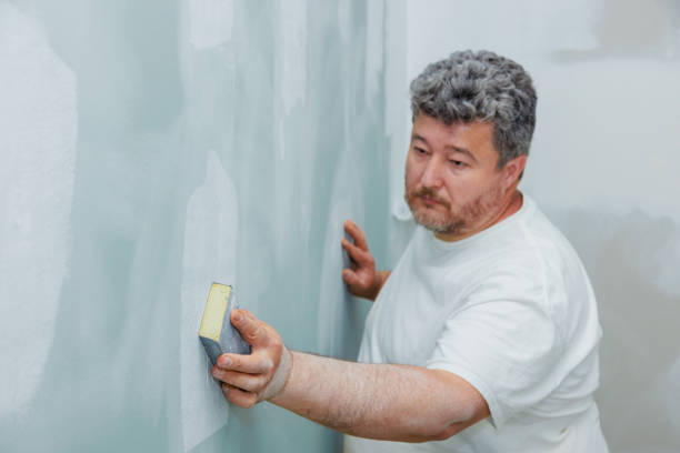 Best Black Mold Removal  in Lewiston, ID